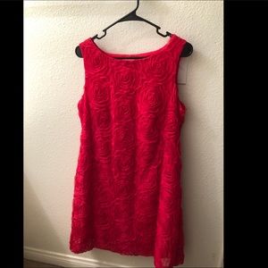 Robbie Bee size 12 rose petal dress